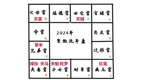 八字流年2024|震豐八字：2024年運解讀之地支篇